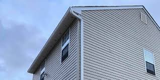 Best Vinyl Siding Installation  in Wolfe City, TX